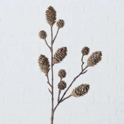 ohgreen Decoratietak