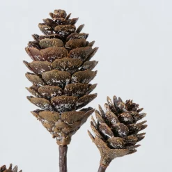 ohgreen Decoratietak