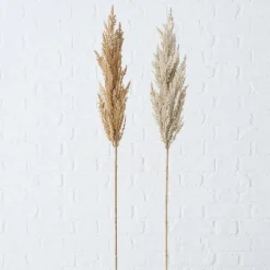 ohgreen Decoratietak