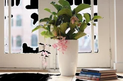 ohgreen Diamond hoog 27cm