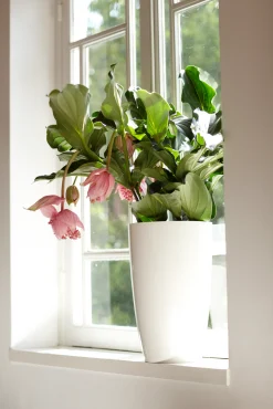 ohgreen Diamond hoog 27cm