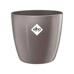 ohgreen Diamond orchidee hoog 20cm