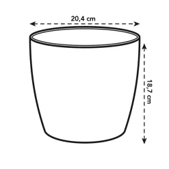 ohgreen Diamond orchidee hoog 20cm