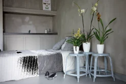 ohgreen Diamond orchidee hoog 12,5cm