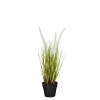 ohgreen Dogtail in pot wit - h40xd15cm