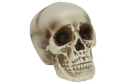 ohgreen Doodskop natuur