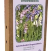 ohgreen Doos 'everbloom' met 25 bloembollen hyacinthoides hisp. mix