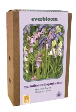 ohgreen Doos 'everbloom' met 25 bloembollen hyacinthoides hisp. mix