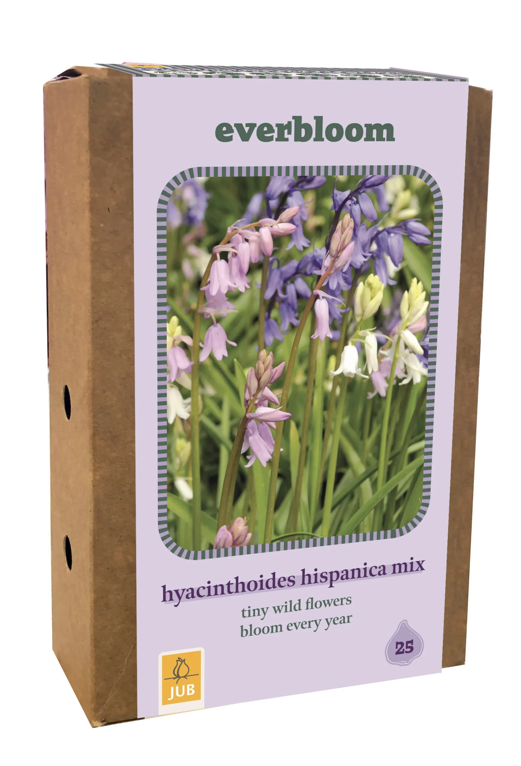 ohgreen Doos 'everbloom' met 25 bloembollen hyacinthoides hisp. mix