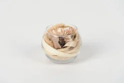 ohgreen Droogbloem in vaas