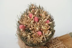 ohgreen Droogbloemen