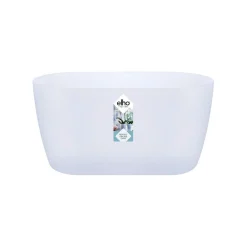 ohgreen Duo orchidee 25cm