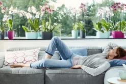 ohgreen Duo orchidee 25cm