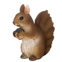 ohgreen Eekhoorn zittend