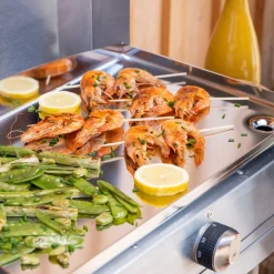 ohgreen Elektrisch plancha roestvrij staal 160