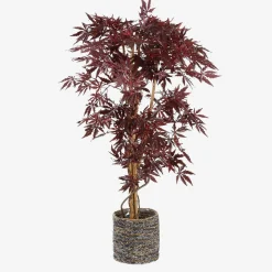 ohgreen Esdoorn in plastic pot - h150xd80