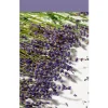 ohgreen Essentials scented stick lavender touch