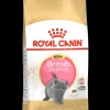 ohgreen Fbn kitten british shorthair 2kg