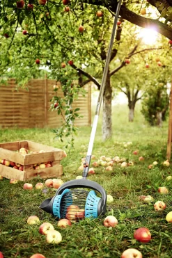 ohgreen FRUITCOLLECTOR