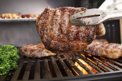 ohgreen Gasbarbecue Genesis E-315, Black