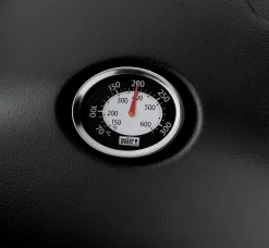 ohgreen Gasbarbecue q1200, black