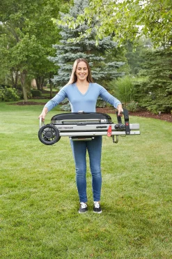 ohgreen Gasbarbecue traveler