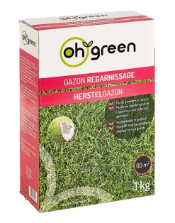 ohgreen Gazonzaad herstelgazon 1kg