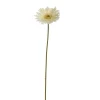ohgreen Gerbera creme 56 cm