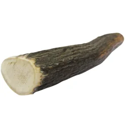 ohgreen Gewei Edelhert M 1 st. (krimp)