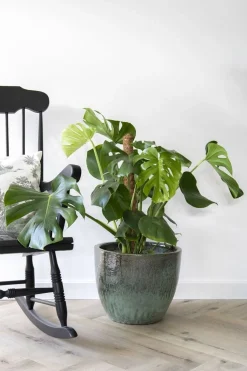 ohgreen Glazed egg pot moss green