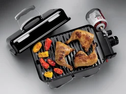 ohgreen Go-anywhere gasversie