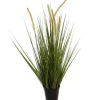 ohgreen Gras m/kattest pot 75cm groen