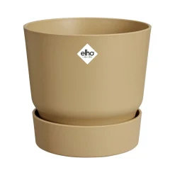 ohgreen Greenville rond