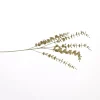 ohgreen Grote eucalyptus tak 90cm goud