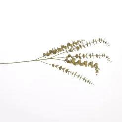 ohgreen Grote eucalyptus tak 90cm goud