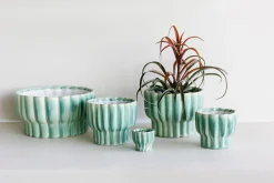 ohgreen Grote orchidee pot ocean