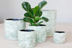 ohgreen Grote orchidee pot reef
