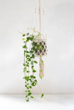 ohgreen Hanger Curtis