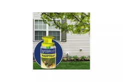 ohgreen Herbruikbare wespenval