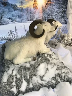 ohgreen Hervormbare sheet rots 100x60cm