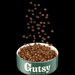 ohgreen Hondenbrokken kip en insect 6kg adult small