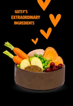 ohgreen Hondenbrokken kip en insect 10kg adult large