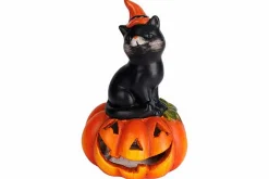 ohgreen Hoofd pompoen