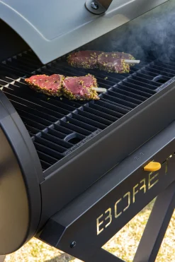 ohgreen Houtskoolbarbecue Fratello 2.0