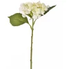 ohgreen Hydrangea creme 45 cm