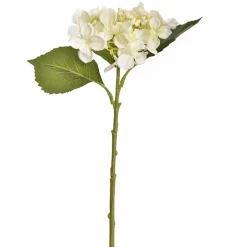 ohgreen Hydrangea creme 45 cm