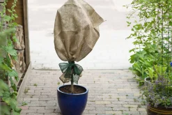 ohgreen Juteband h10cmx25m groen 220g/m²