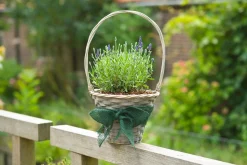 ohgreen Juteband h10cmx25m groen 220g/m²