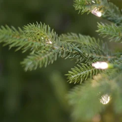 ohgreen Kerstboom buckingham 213cm 650 led