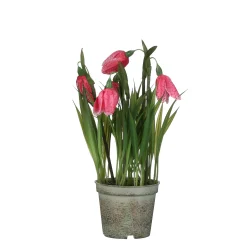 ohgreen Kievitsbloem in roze plastic pot - h23xd8,5cm